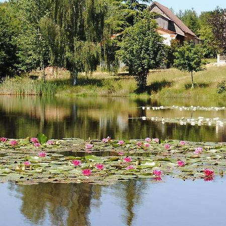 Liabaquet Gites Sarlande Exteriör bild