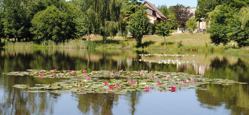 Liabaquet Gites Sarlande Exteriör bild